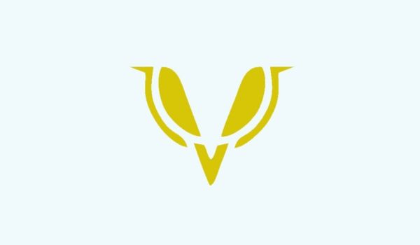 V图形